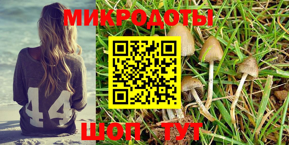 НБОМе Видное