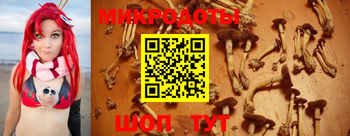 Галлюциногенные грибы Cubensis Видное