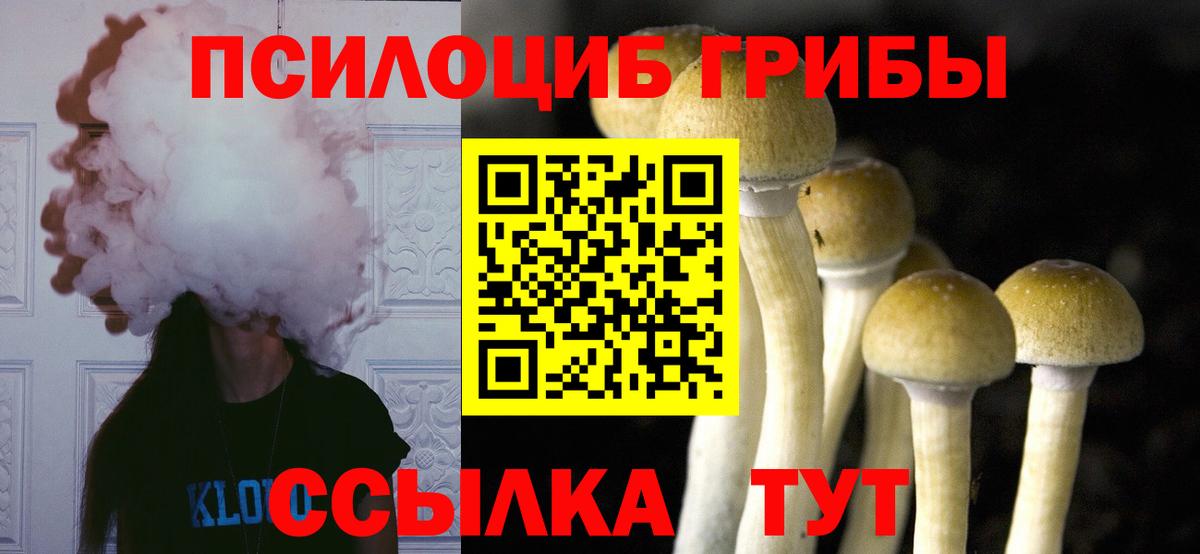 Псилоцибиновые грибы Cubensis  Галлюциногенные грибы Psilocybe  Вход с VPN  Видное 